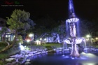 dailyPhoto1